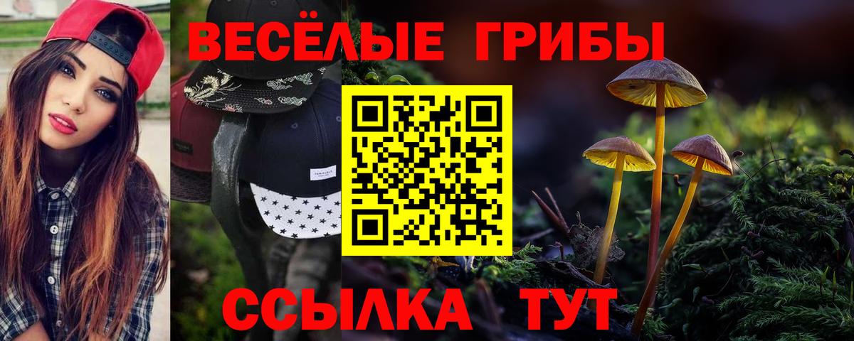 Каспийск  Галлюциногенные грибы Psilocybe  Вход с VPN 